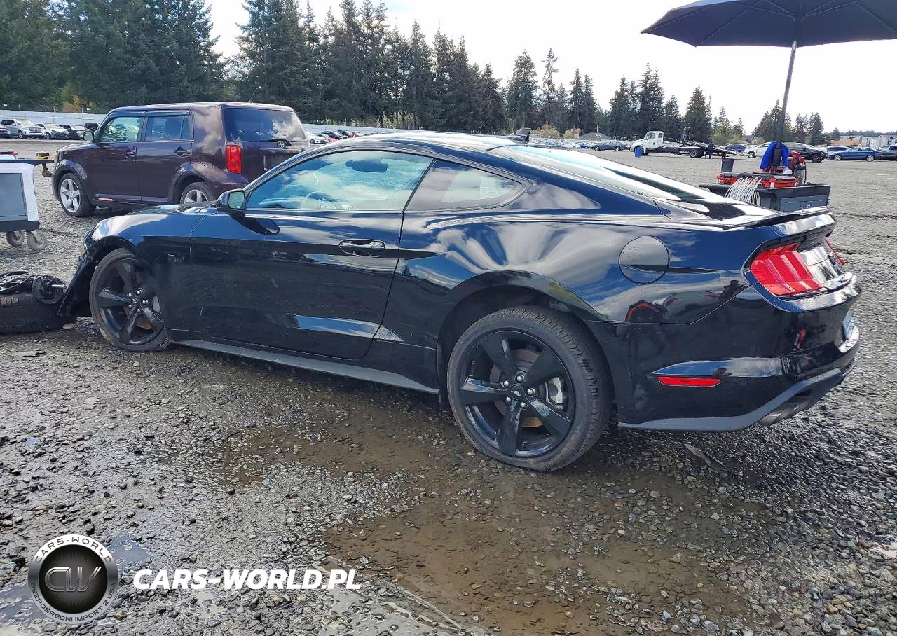 2021 Ford Mustang Gt VIN:1FA6P8CF1M5138004 - 2