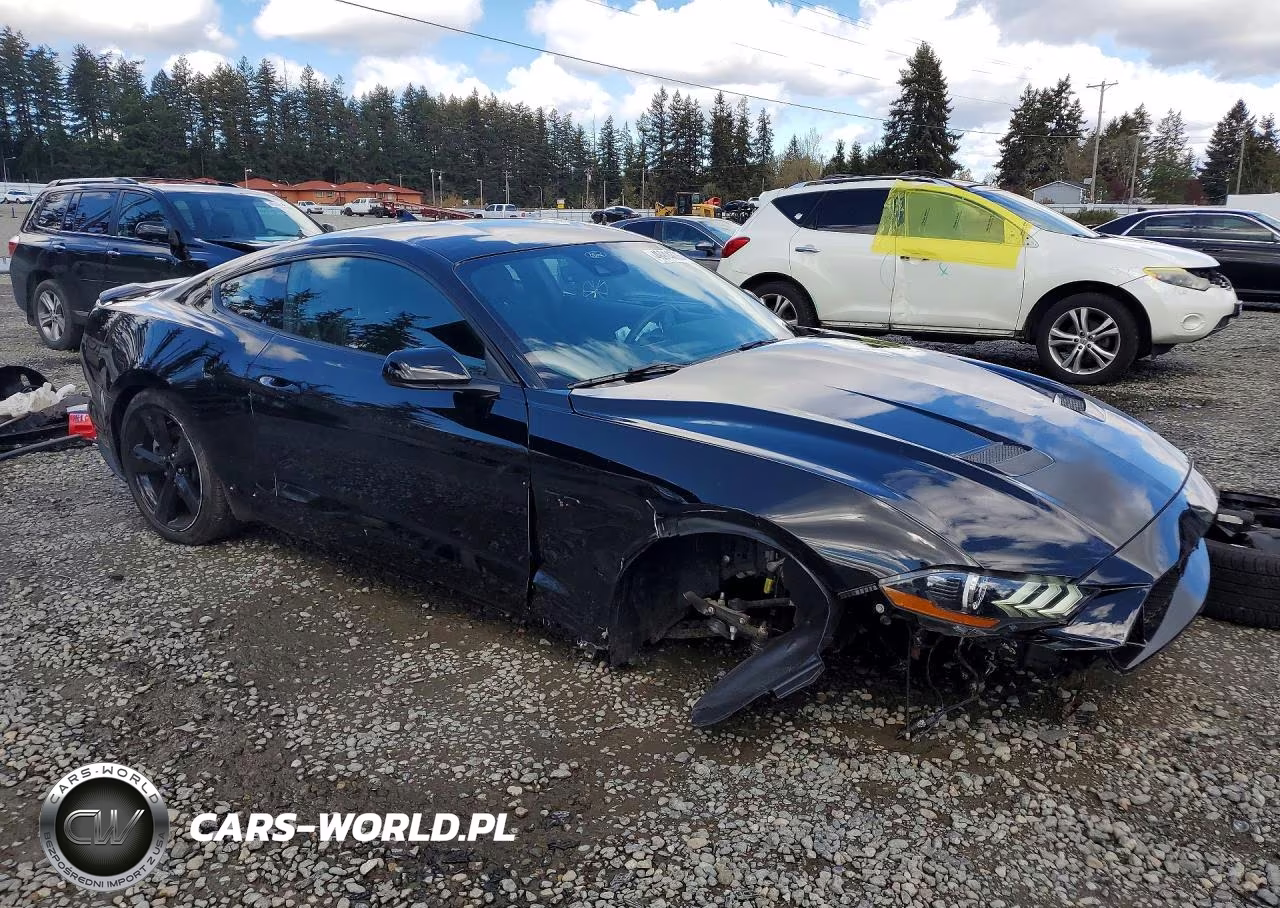 2021 Ford Mustang Gt VIN:1FA6P8CF1M5138004 - 4