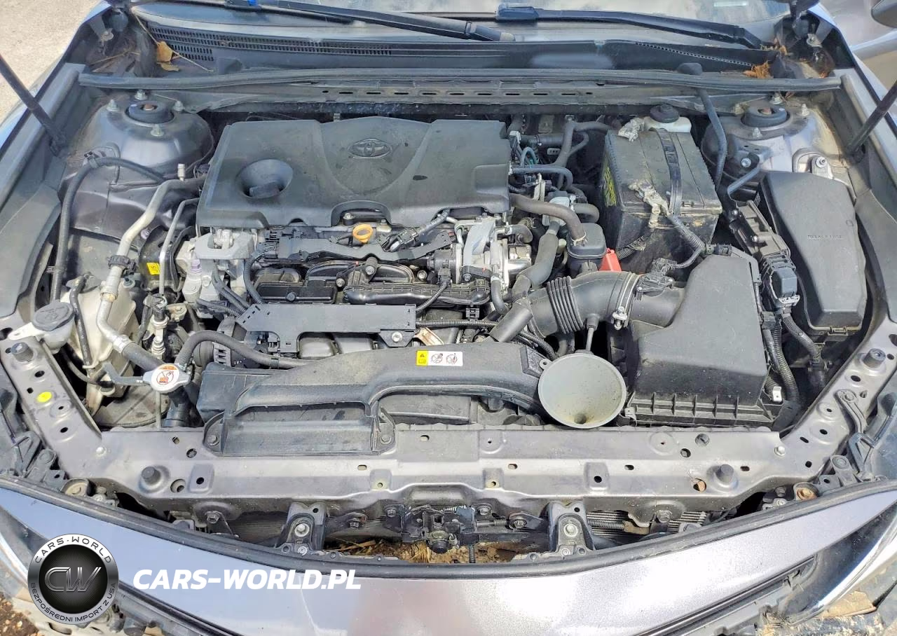 2019 Toyota Camry Le VIN:4T1B11HK4KU800485 - 11