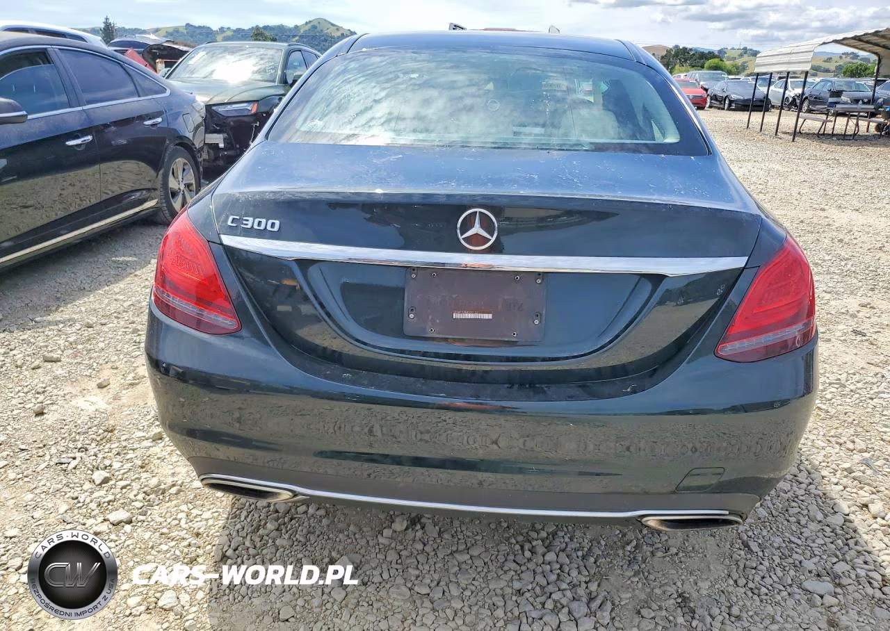 2019 Mercedes-Benz C 300 VIN:55SWF8DB6KU301331 - 6