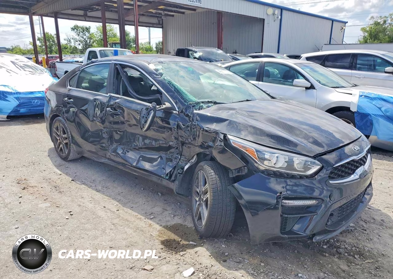 2020 Kia Forte Ex VIN:3KPF54AD1LE195851 - 4