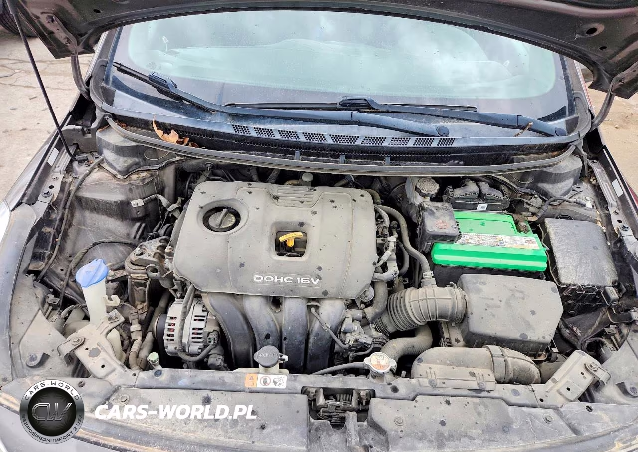 2017 Kia Forte Lx VIN:3KPFK4A76HE123666 - 11