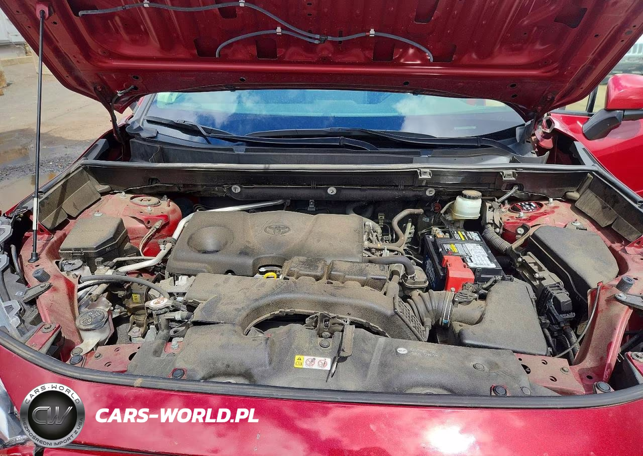2019 Toyota Rav4 Limited VIN:JTMN1RFV0KD506627 - 12