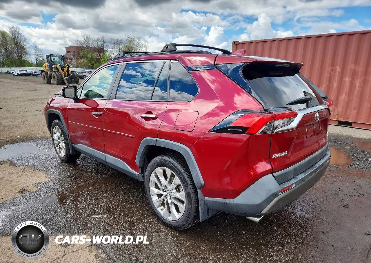 2019 Toyota Rav4 Limited VIN:JTMN1RFV0KD506627 - 2