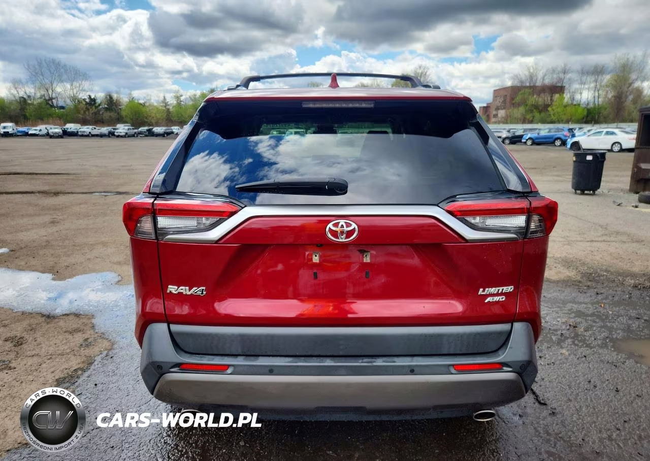 2019 Toyota Rav4 Limited VIN:JTMN1RFV0KD506627 - 6