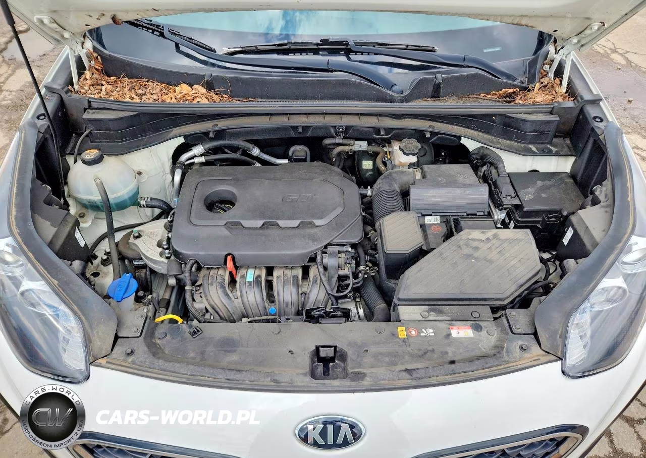 2020 Kia Sportage Lx VIN:KNDPM3AC8L7729193 - 12