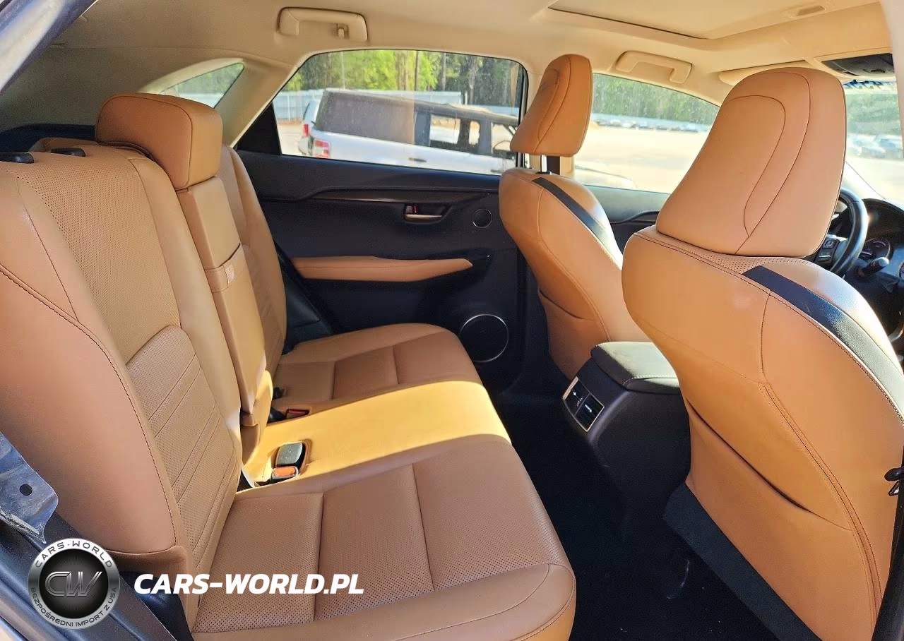2017 Lexus Nx 300H VIN:JTJBJRBZ8H2064600 - 10