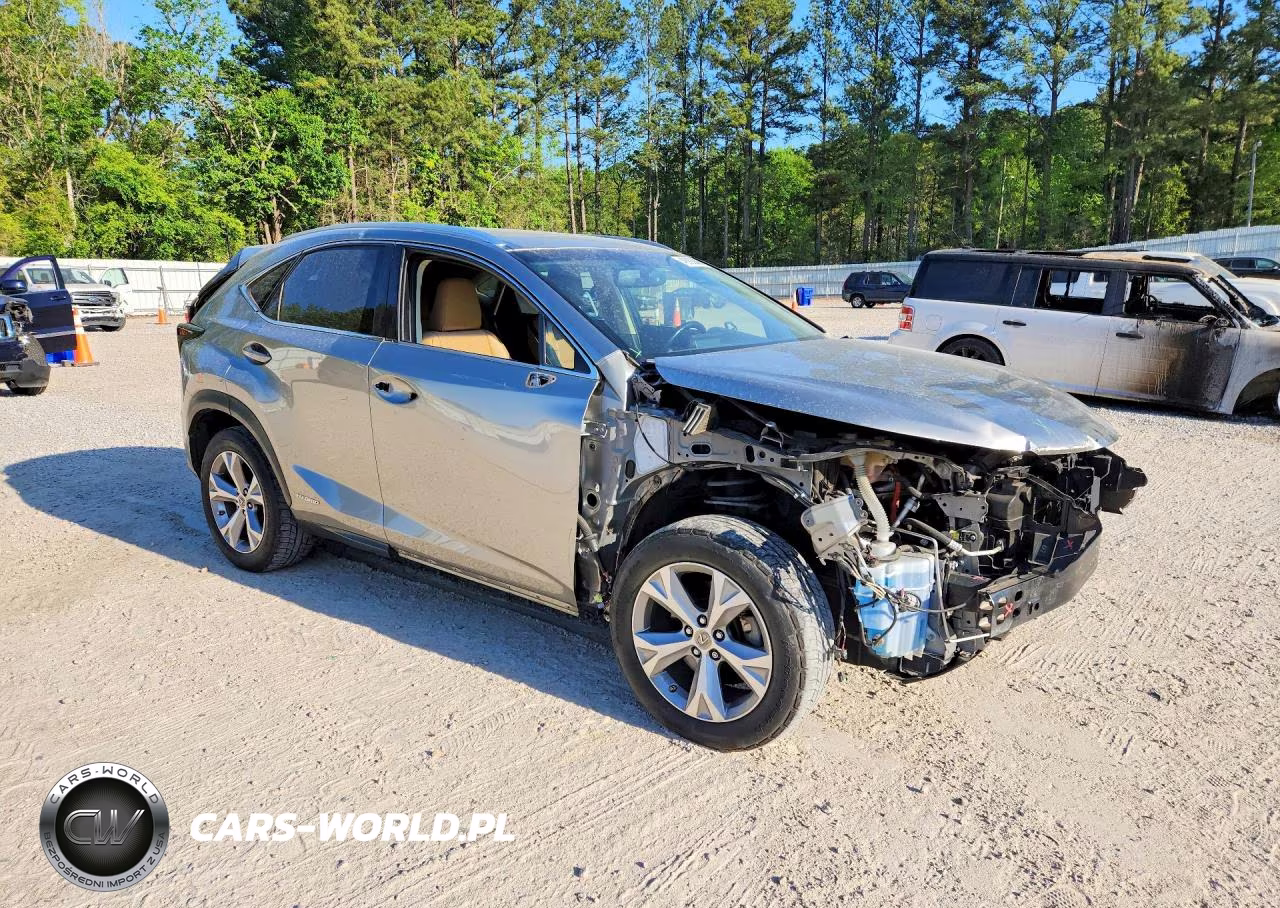 2017 Lexus Nx 300H VIN:JTJBJRBZ8H2064600 - 4