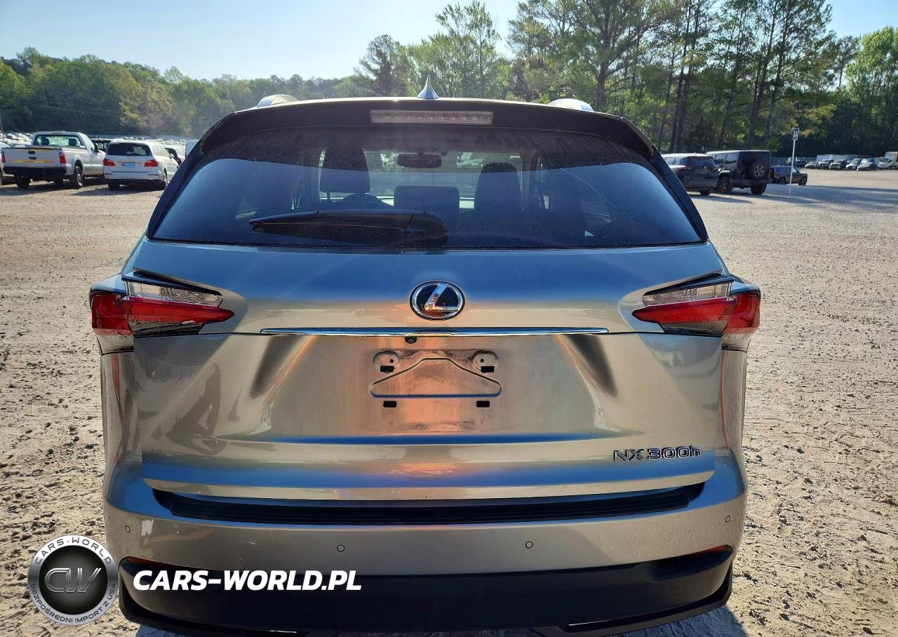 2017 Lexus Nx 300H VIN:JTJBJRBZ8H2064600 - 6