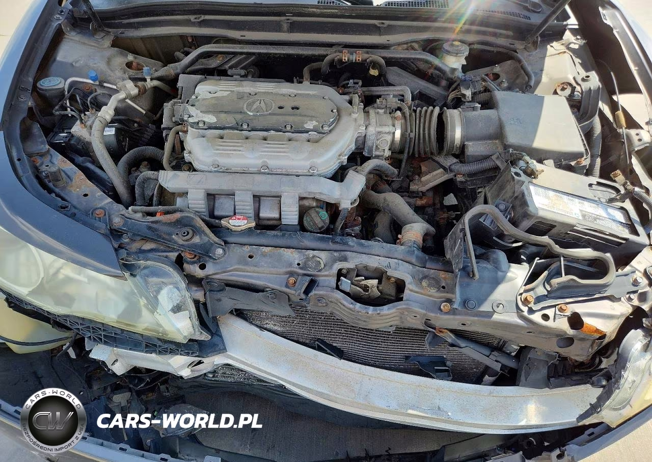 2010 Acura Tl VIN:19UUA9F52AA003906 - 11