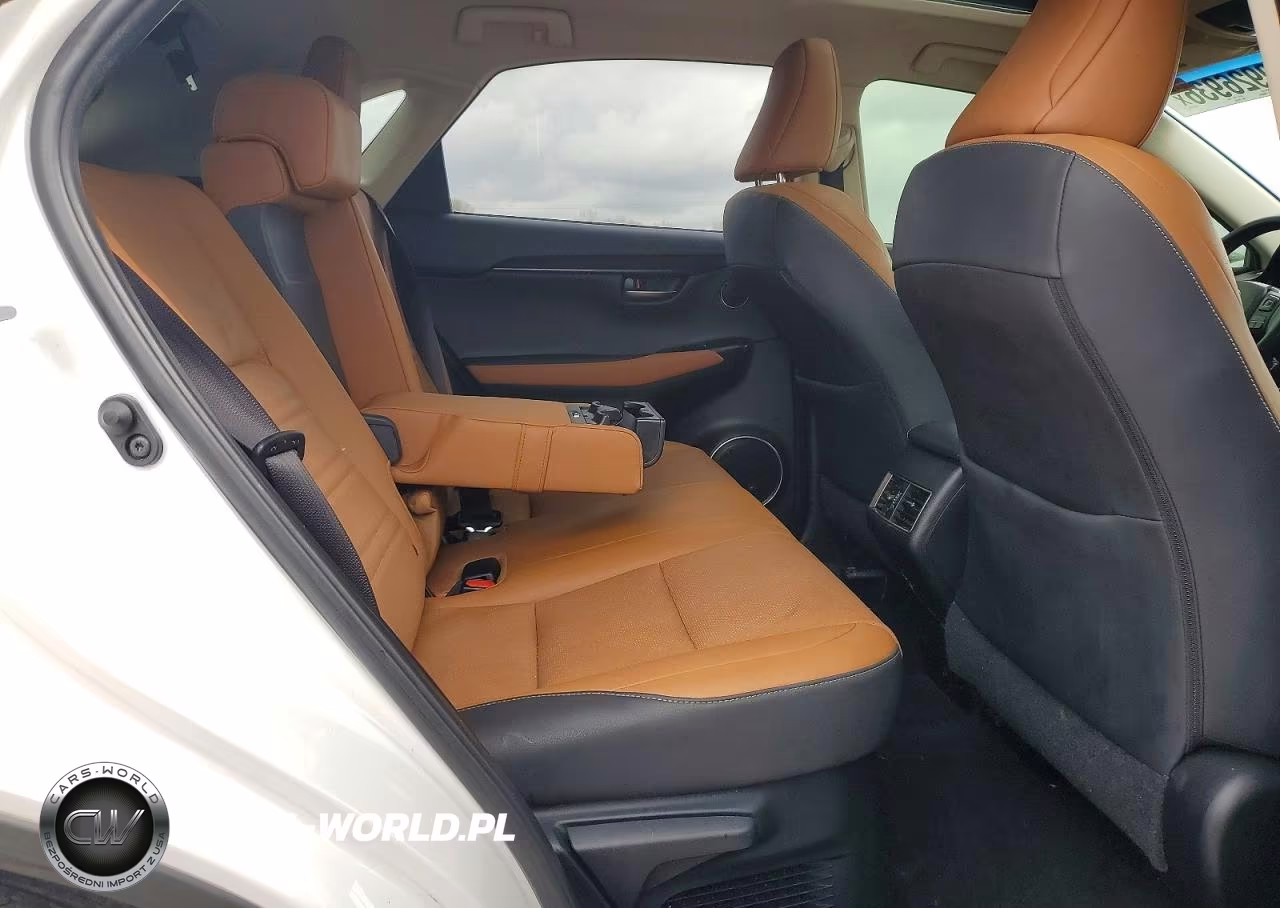 2018 Lexus Nx 300 Base VIN:JTJYARBZ6J2092394 - 11