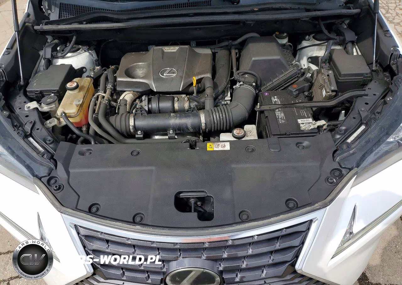 2018 Lexus Nx 300 Base VIN:JTJYARBZ6J2092394 - 12