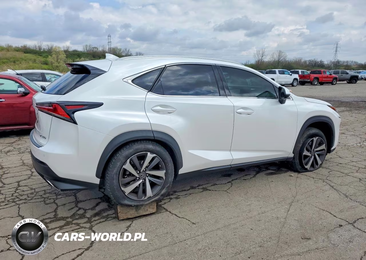 2018 Lexus Nx 300 Base VIN:JTJYARBZ6J2092394 - 3