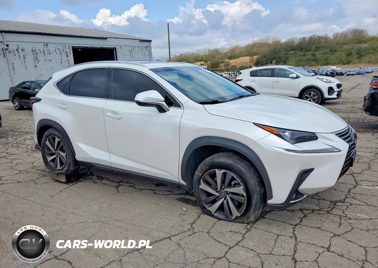 2018 Lexus Nx 300 Base VIN:JTJYARBZ6J2092394 - 4