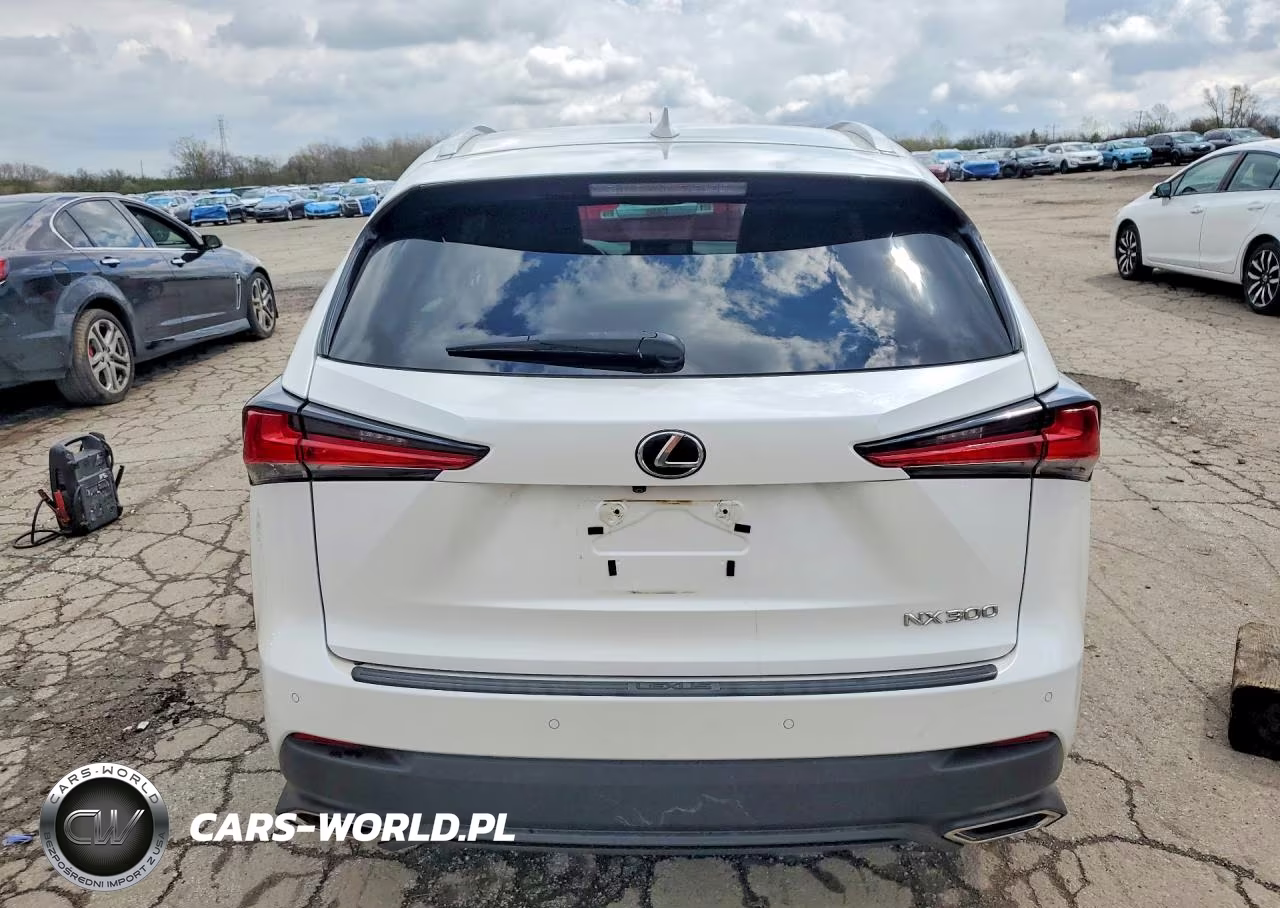 2018 Lexus Nx 300 Base VIN:JTJYARBZ6J2092394 - 6