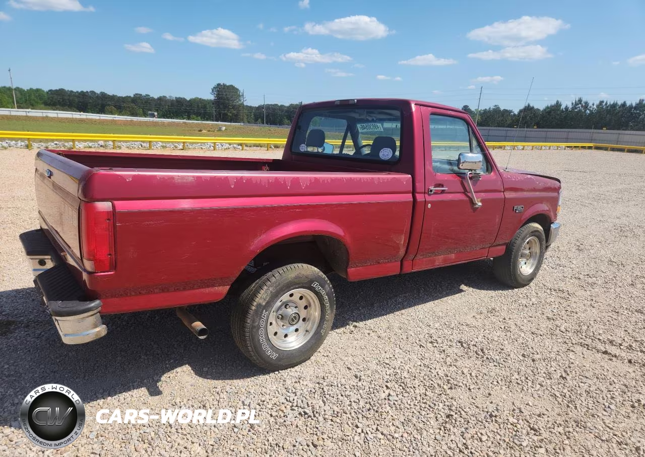 1995 Ford F150 VIN:1FTEF15N7SNB23377 - 3