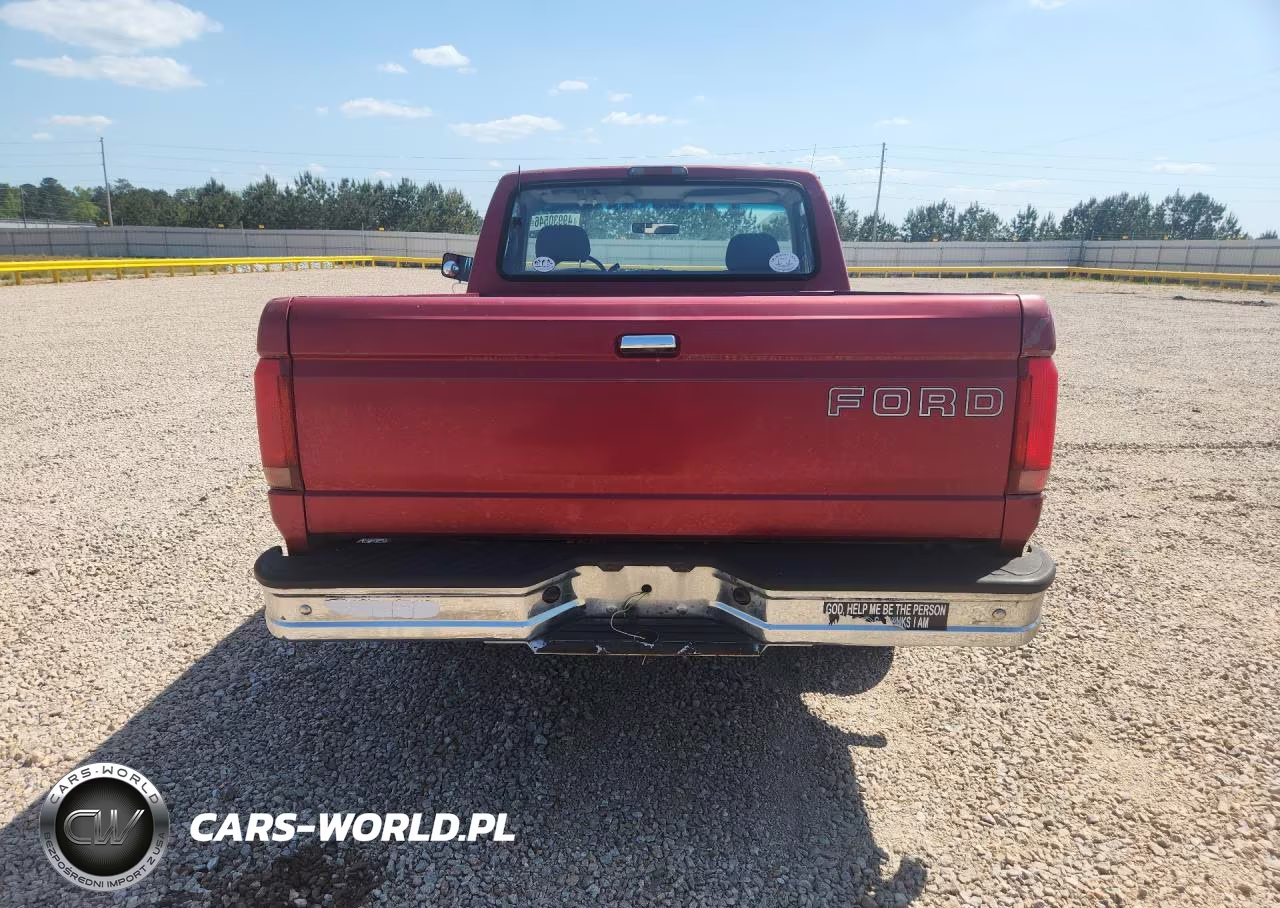 1995 Ford F150 VIN:1FTEF15N7SNB23377 - 6