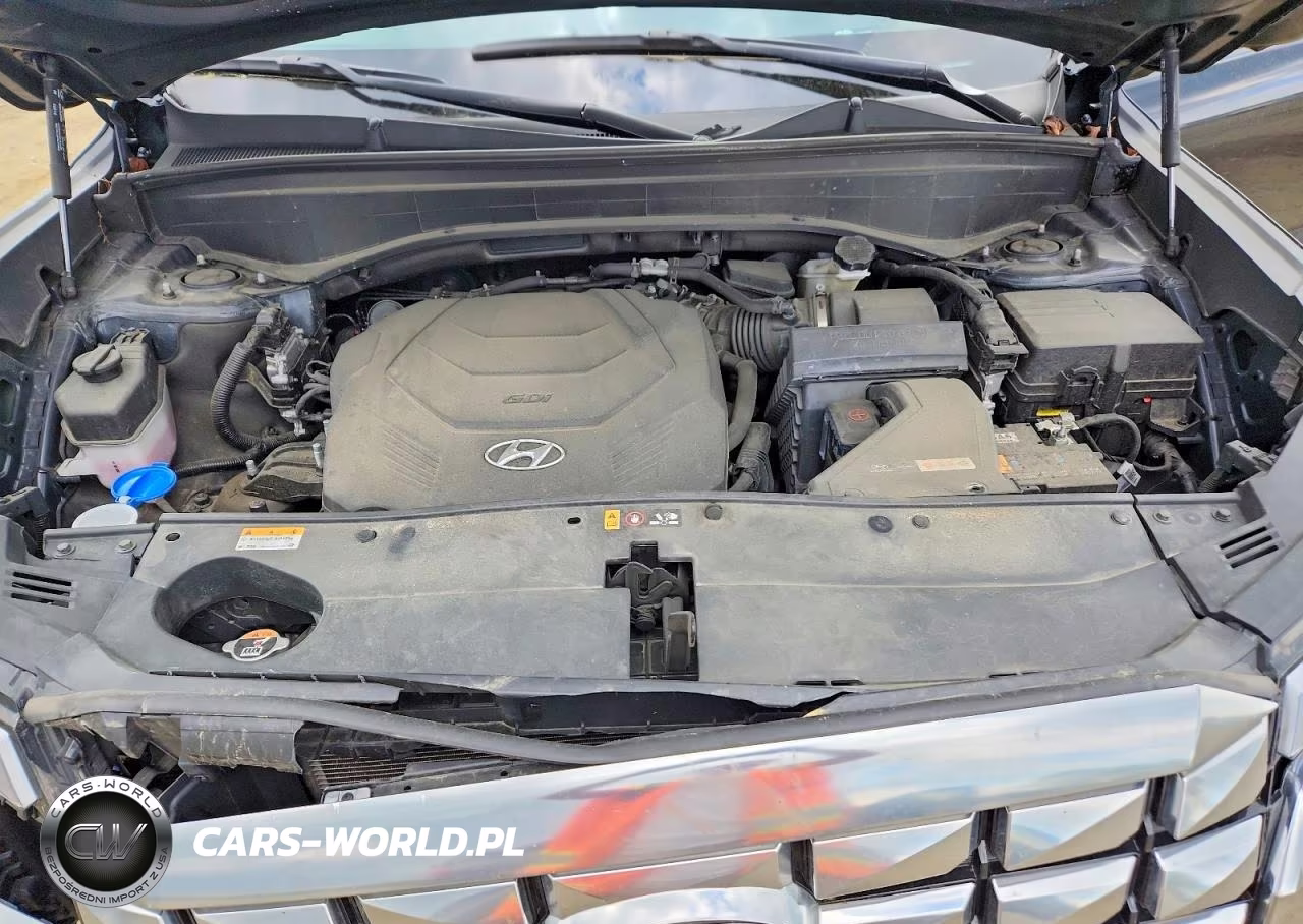 2023 Hyundai Palisade Calligraphy VIN:KM8R7DGE6PU638957 - 12