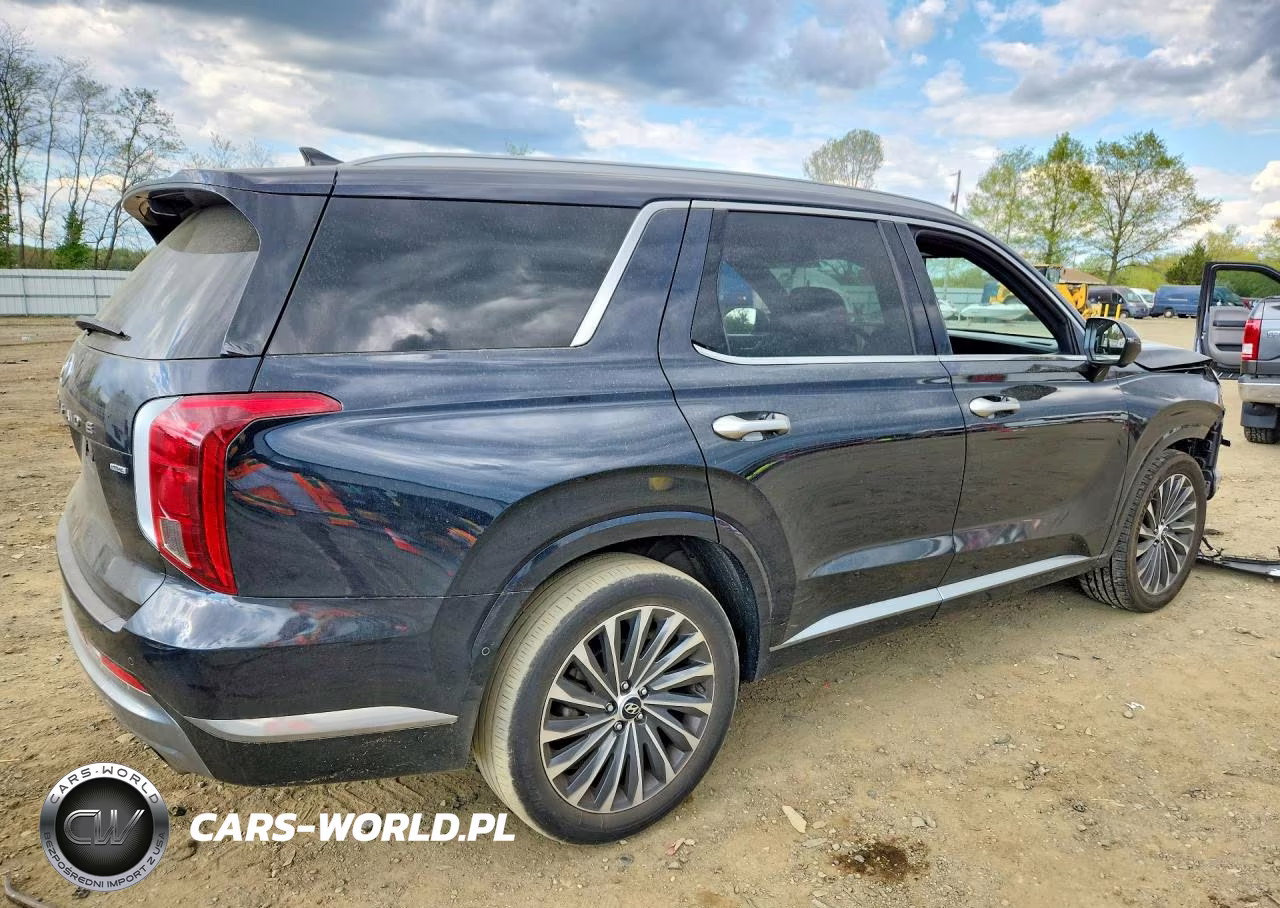 2023 Hyundai Palisade Calligraphy VIN:KM8R7DGE6PU638957 - 3