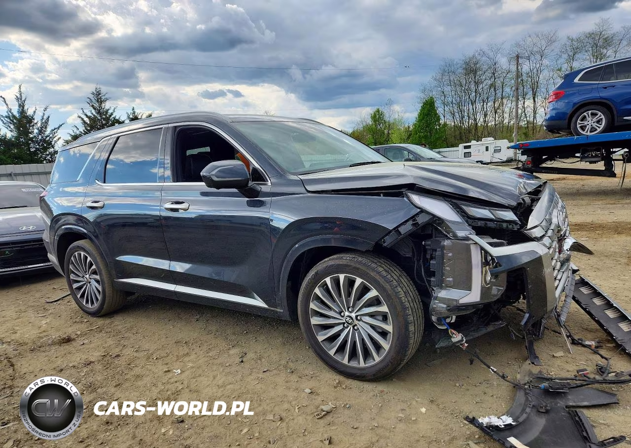 2023 Hyundai Palisade Calligraphy VIN:KM8R7DGE6PU638957 - 4