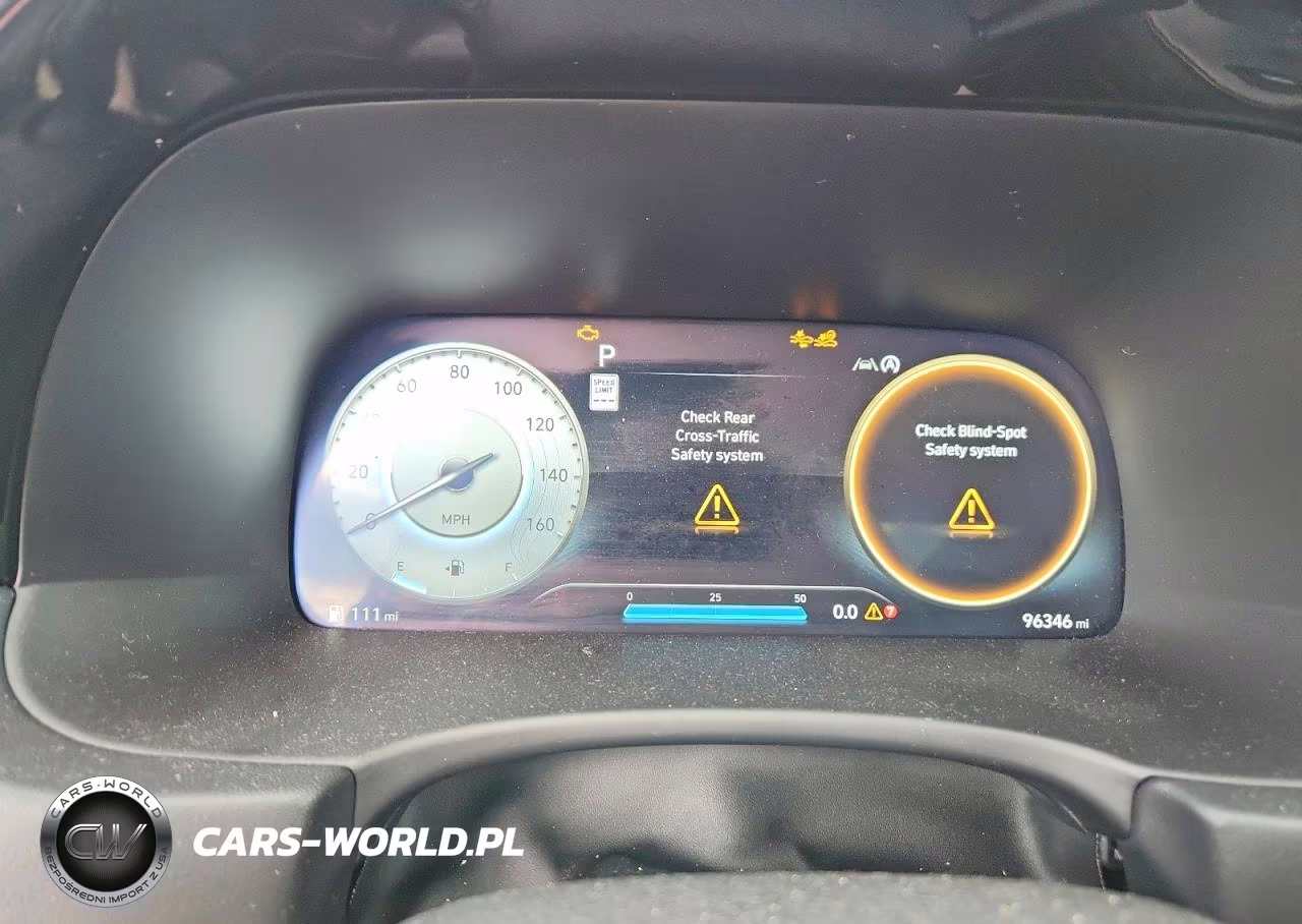 2023 Hyundai Palisade Calligraphy VIN:KM8R7DGE6PU638957 - 9