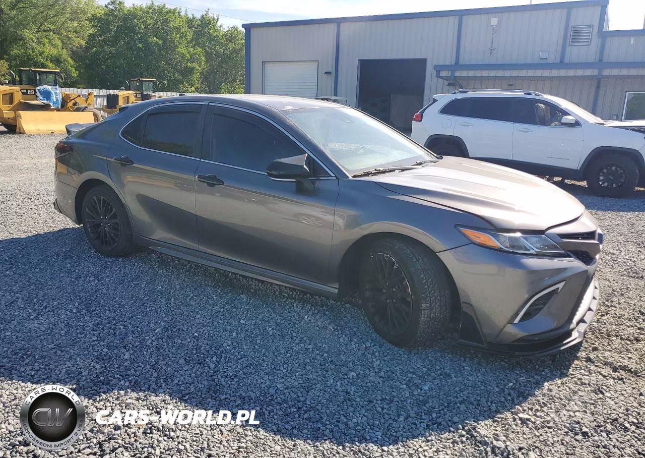 2019 Toyota Camry Se VIN:4T1B11HKXKU794739 - 4