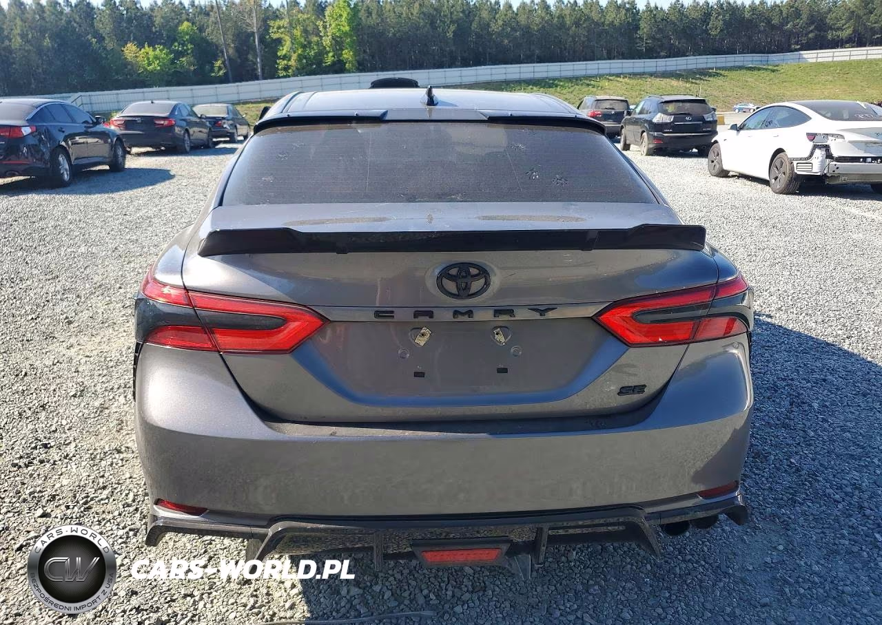 2019 Toyota Camry Se VIN:4T1B11HKXKU794739 - 6