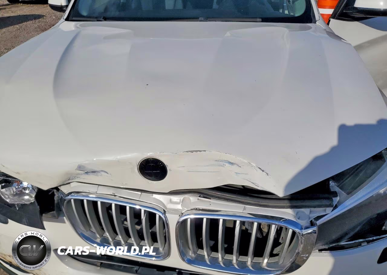 2017 BMW X3 Sdrive28I VIN:5UXWZ7C30H0V90600 - 11