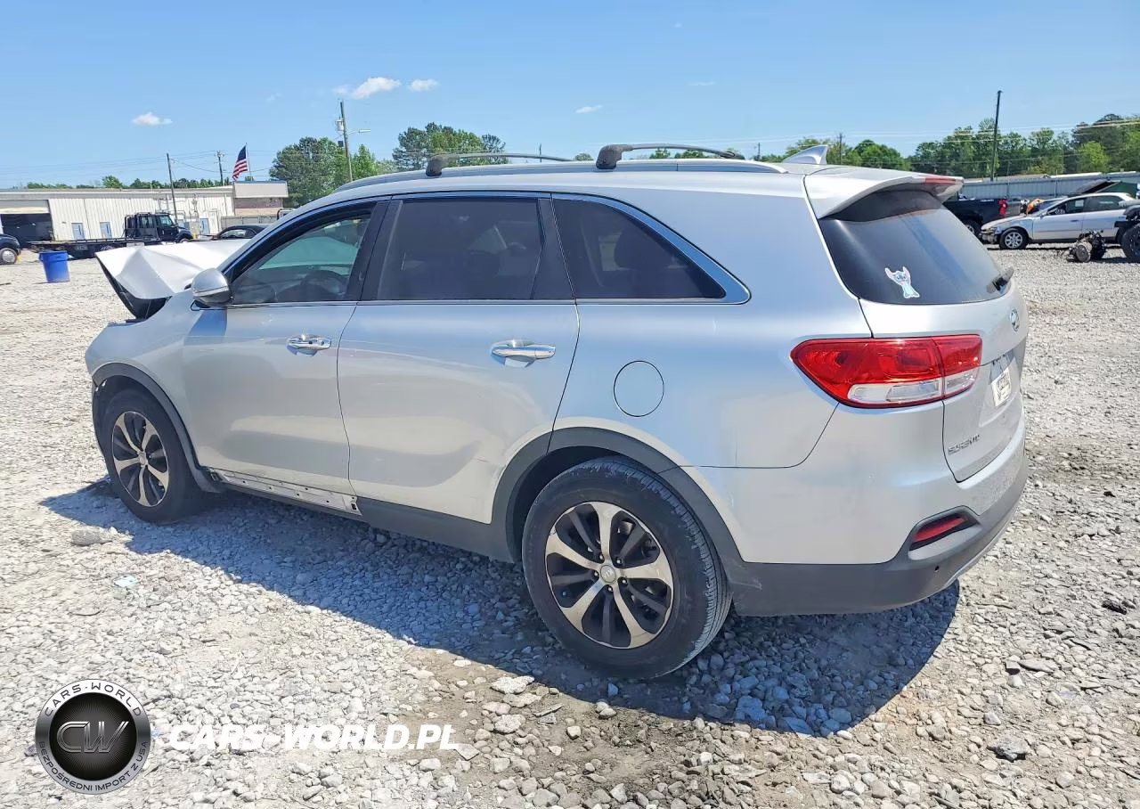 2018 Kia Sorento Ex VIN:5XYPH4A14JG359420 - 2