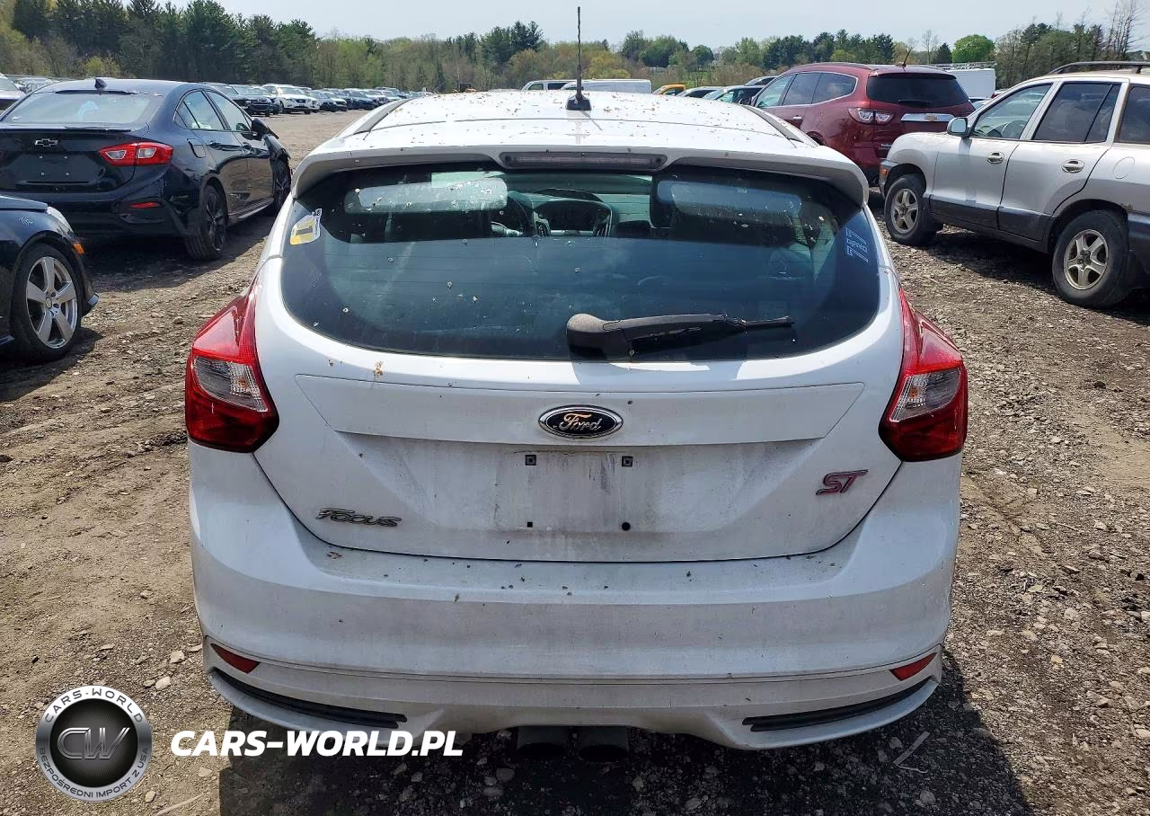 2013 Ford Focus St VIN:1FADP3L96DL185917 - 6