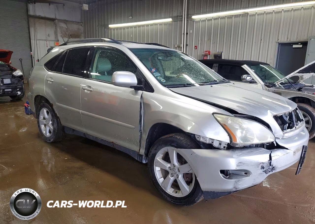 2004 Lexus Rx 330 VIN:JTJGA31U940002704 - 4