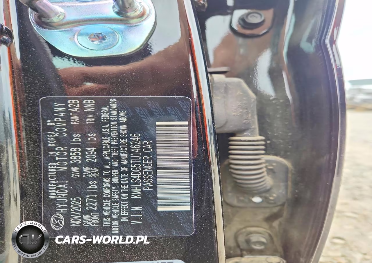 2026 Hyundai Elantra Sel Sport Premium VIN:KMHLS4DG5TU146246 - 12