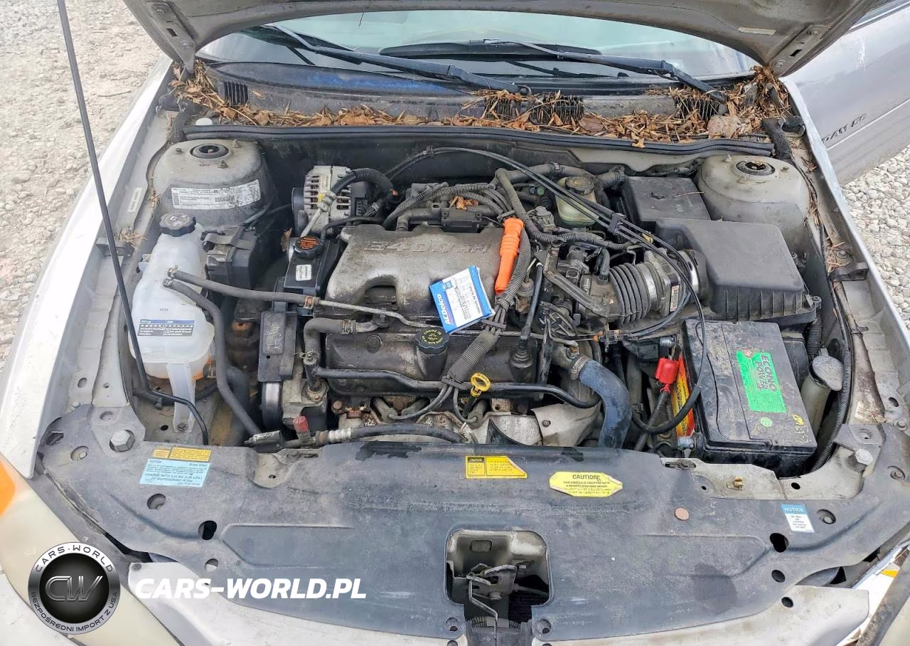 1999 Pontiac Grand Am Se VIN:1G2NE52E3XM738704 - 11