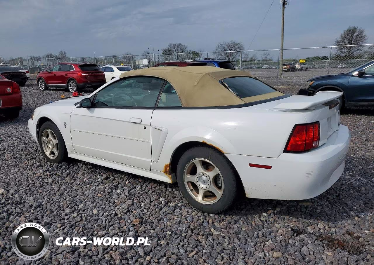 2003 Ford Mustang VIN:1FAFP44413F396313 - 2