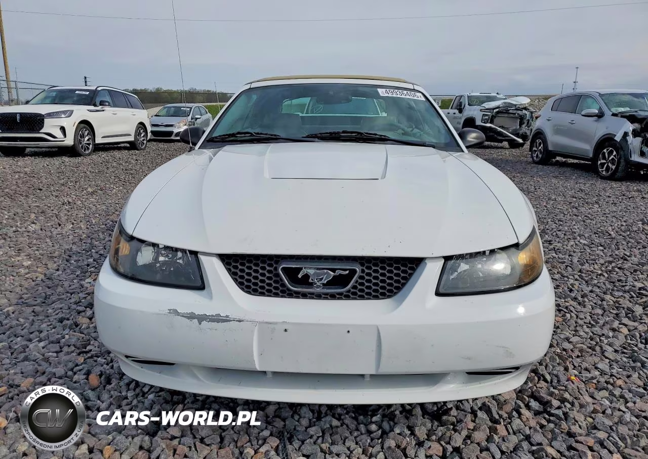 2003 Ford Mustang VIN:1FAFP44413F396313 - 5
