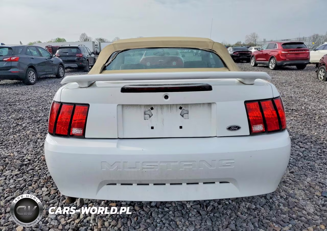 2003 Ford Mustang VIN:1FAFP44413F396313 - 6