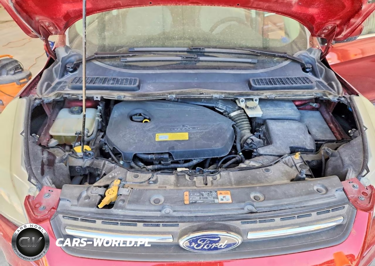 2014 Ford Escape Se VIN:1FMCU0GX0EUB62730 - 12