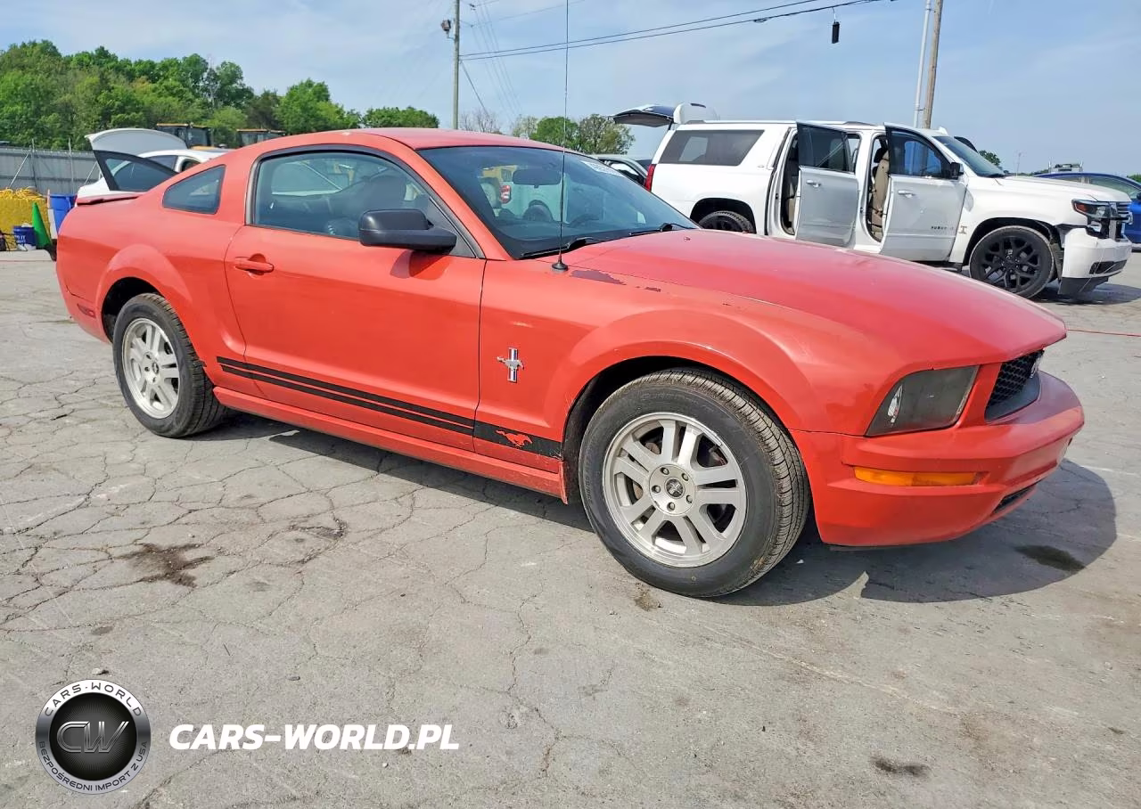 2007 Ford Mustang VIN:1ZVHT80N275255117 - 4