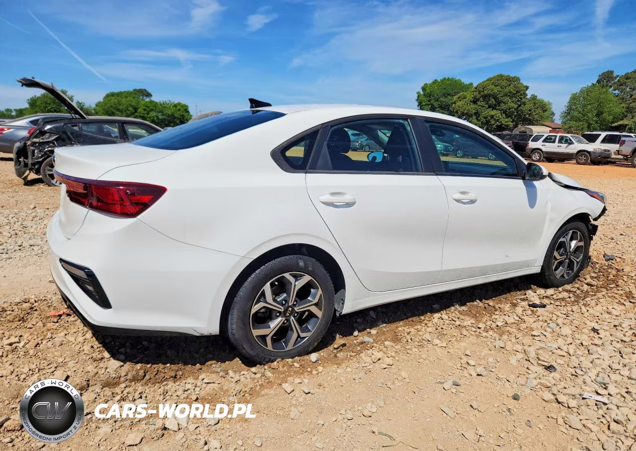 2020 Kia Forte Lxs VIN:3KPF24AD0LE221431 - 3