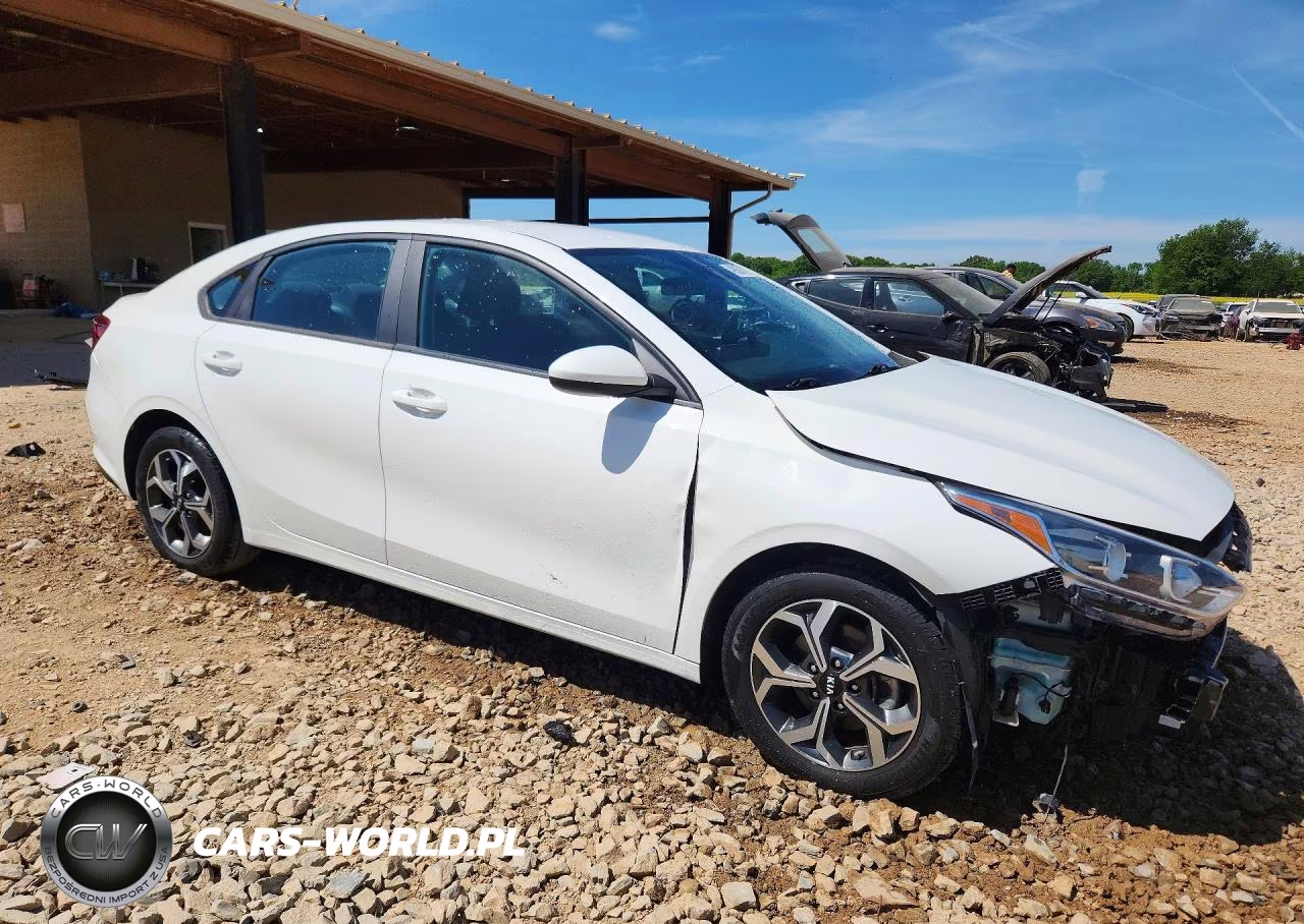 2020 Kia Forte Lxs VIN:3KPF24AD0LE221431 - 4