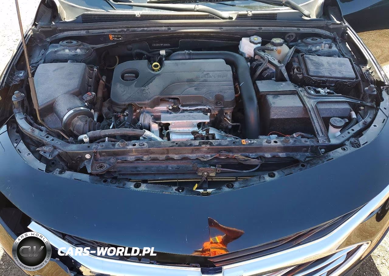 2023 Chevrolet Malibu Lt VIN:1G1ZD5ST9PF200875 - 11