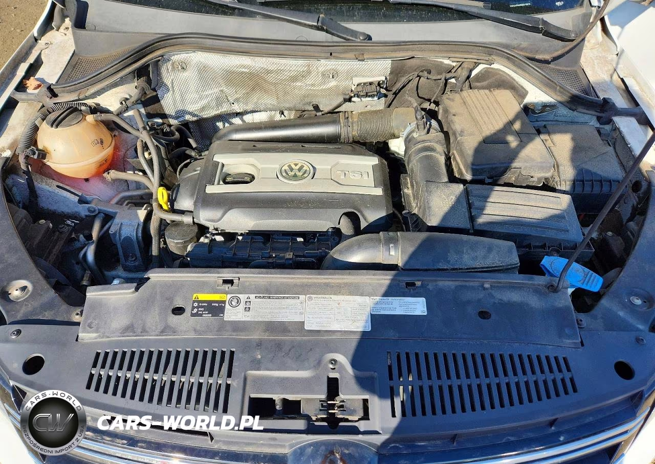 2017 Volkswagen Tiguan S VIN:WVGAV7AX5HK015972 - 12