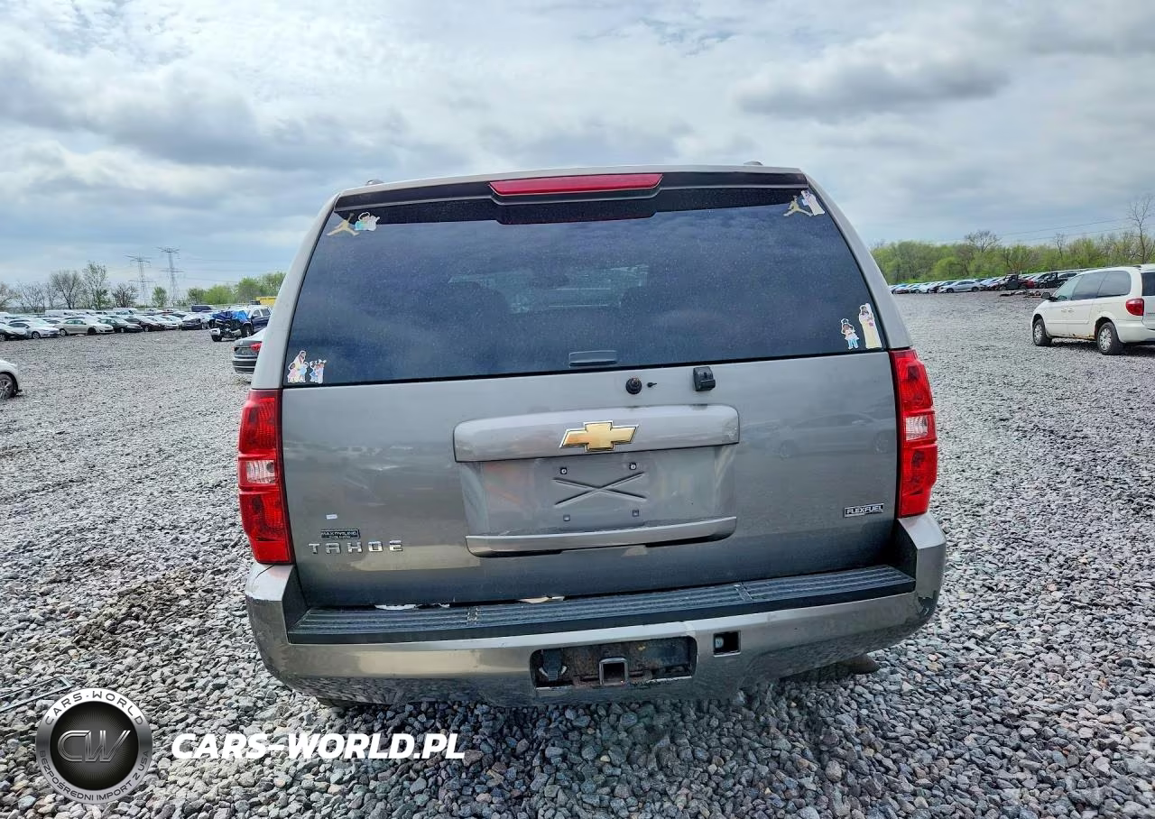 2008 Chevrolet Tahoe K1500 VIN:1GNFK13018J120389 - 6