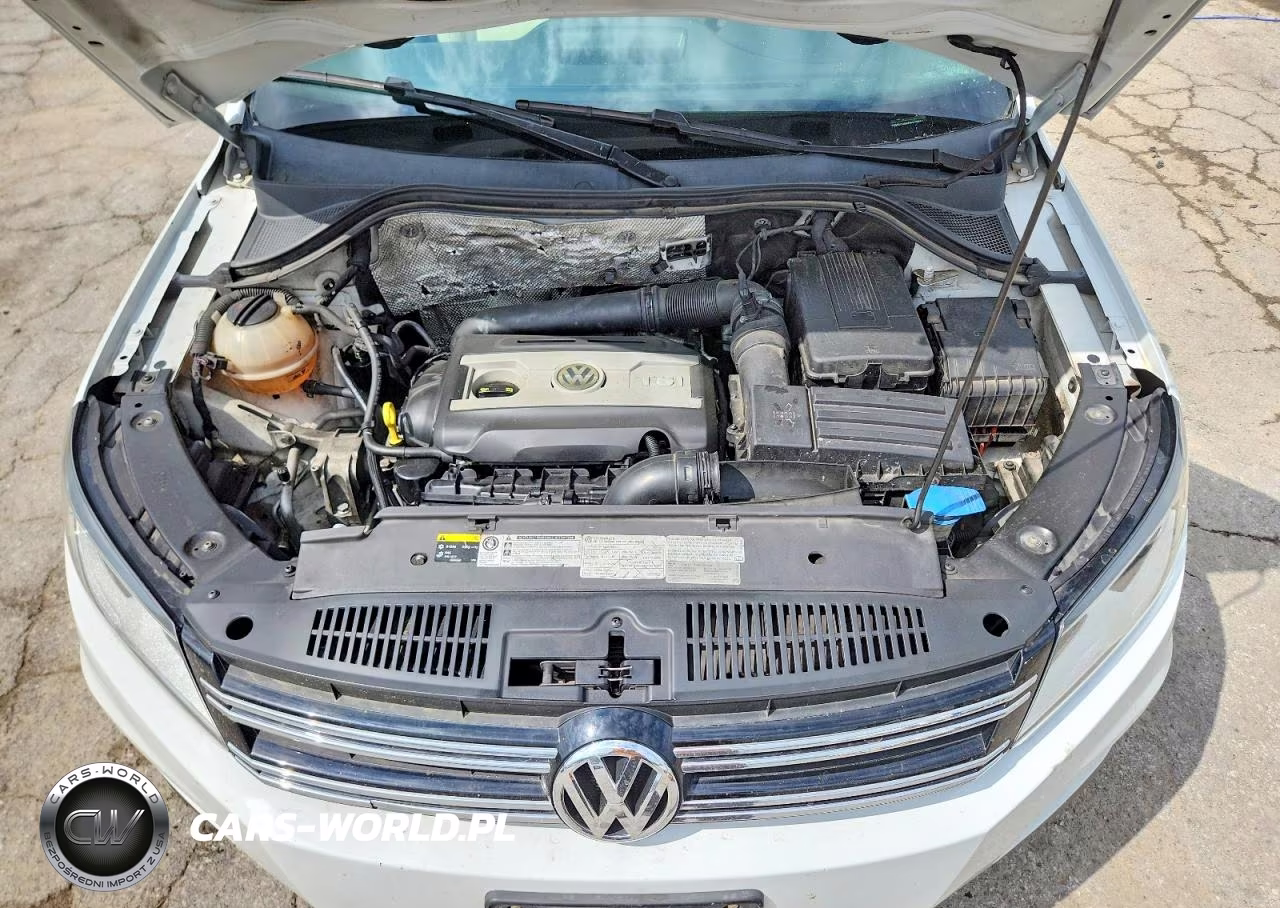 2015 Volkswagen Tiguan S VIN:WVGBV7AX6FW578927 - 12