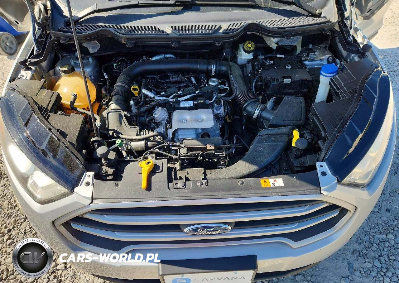 2018 Ford Ecosport Se VIN:MAJ3P1TE4JC168476 - 12