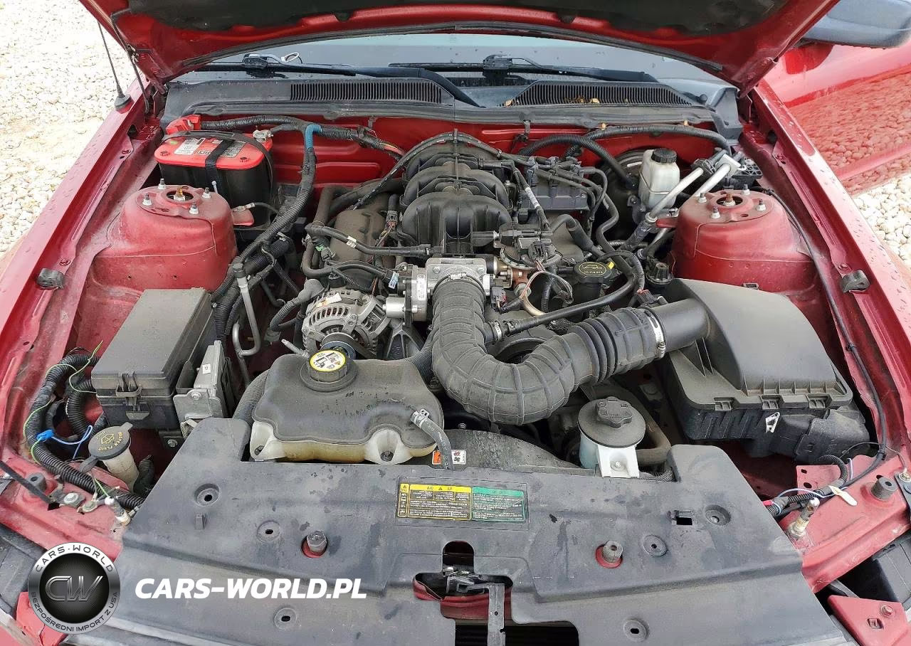 2009 Ford Mustang VIN:1ZVHT80N195109939 - 11