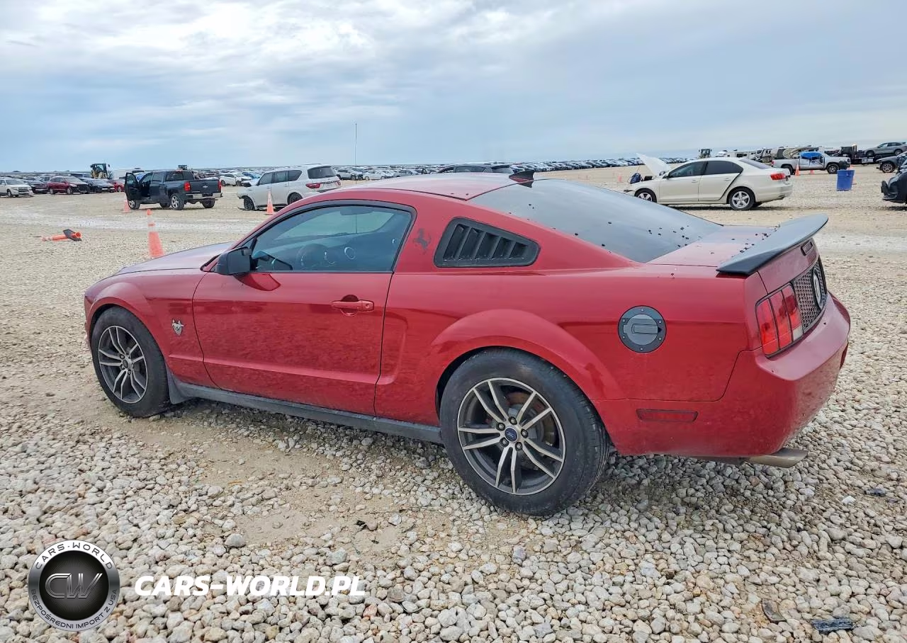 2009 Ford Mustang VIN:1ZVHT80N195109939 - 2