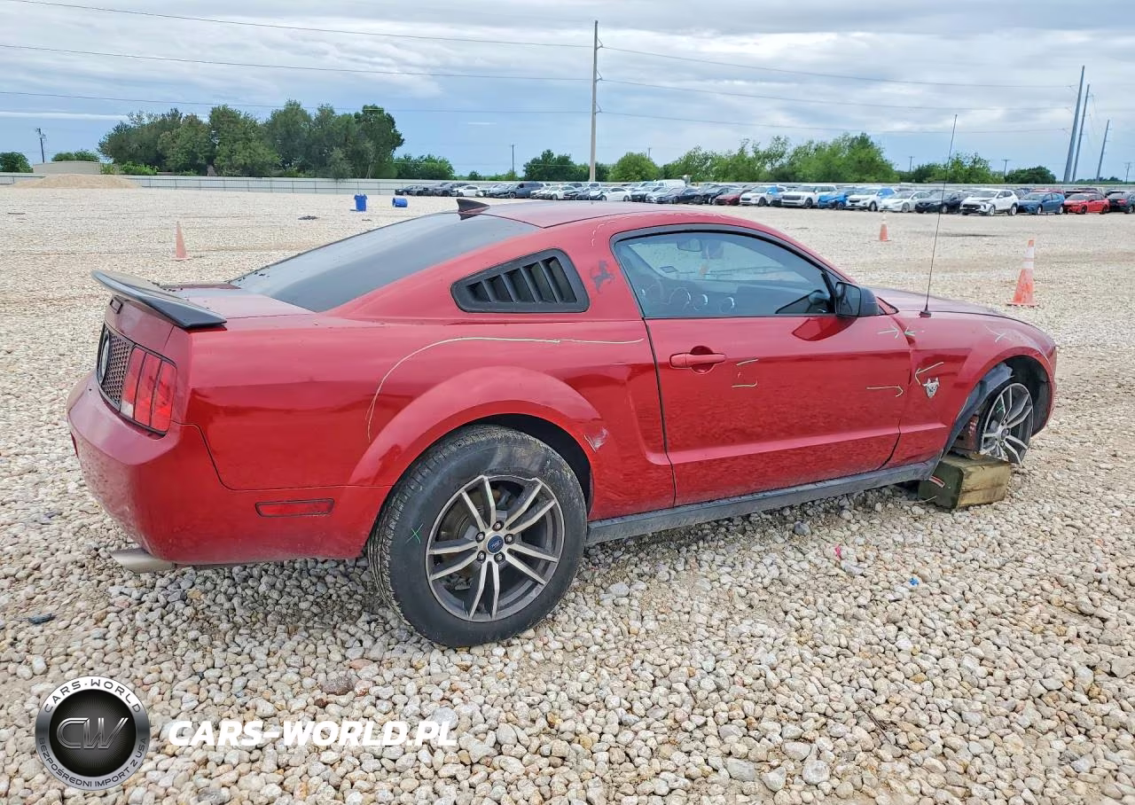 2009 Ford Mustang VIN:1ZVHT80N195109939 - 3