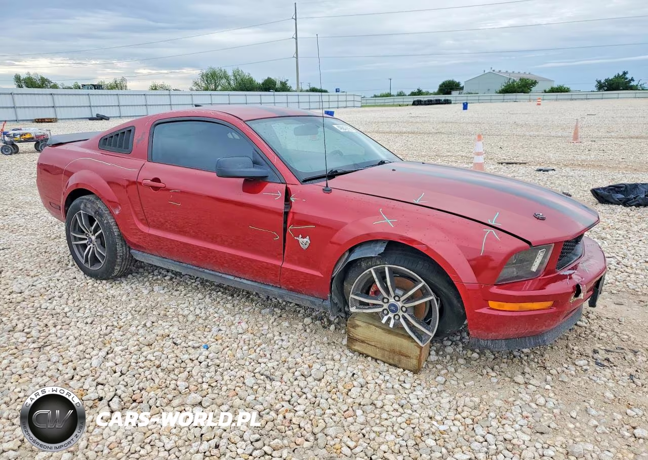2009 Ford Mustang VIN:1ZVHT80N195109939 - 4
