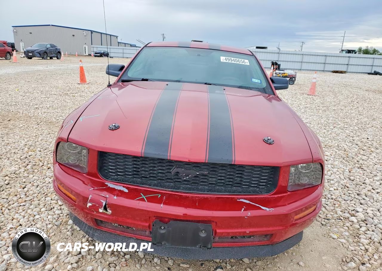 2009 Ford Mustang VIN:1ZVHT80N195109939 - 5